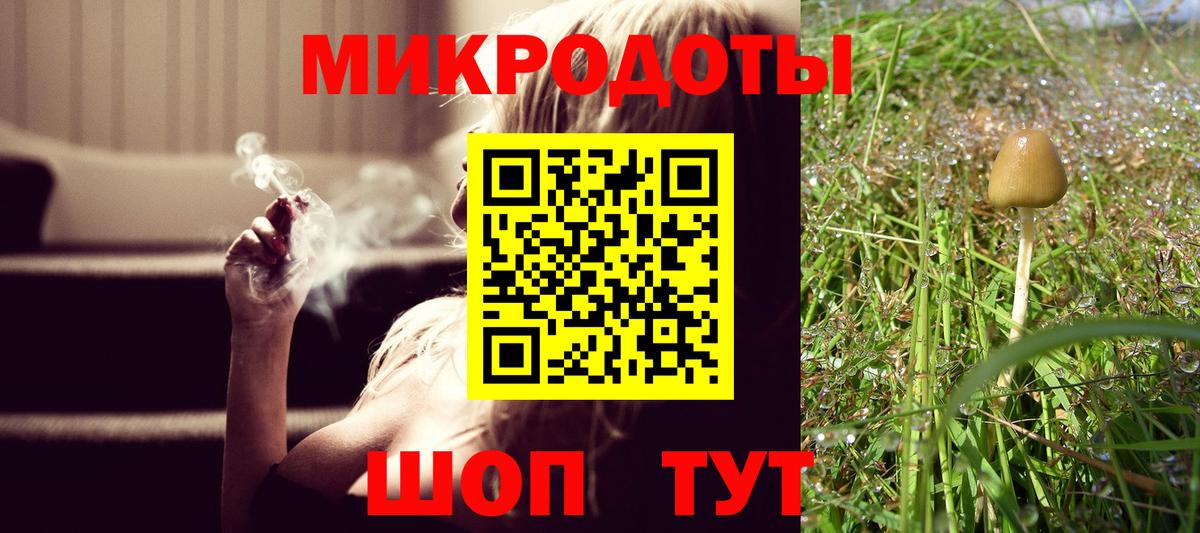 Аргун  наркота  Вход с VPN  Галлюциногенные грибы Psilocybe 