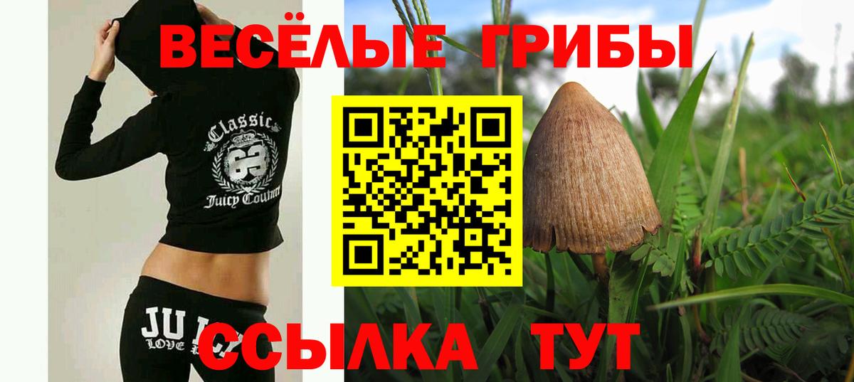 Псилоцибиновые грибы ЛСД Аргун